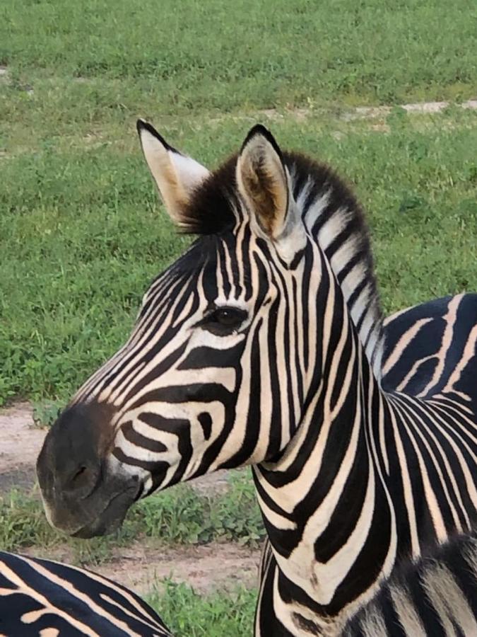 Fathala Wildlife Reserve Toubakouta Kültér fotó
