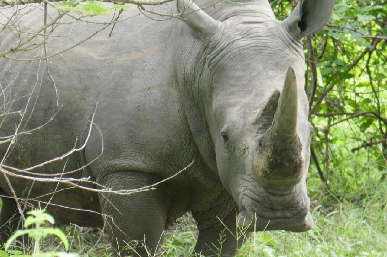 Fathala Wildlife Reserve Toubakouta Kültér fotó